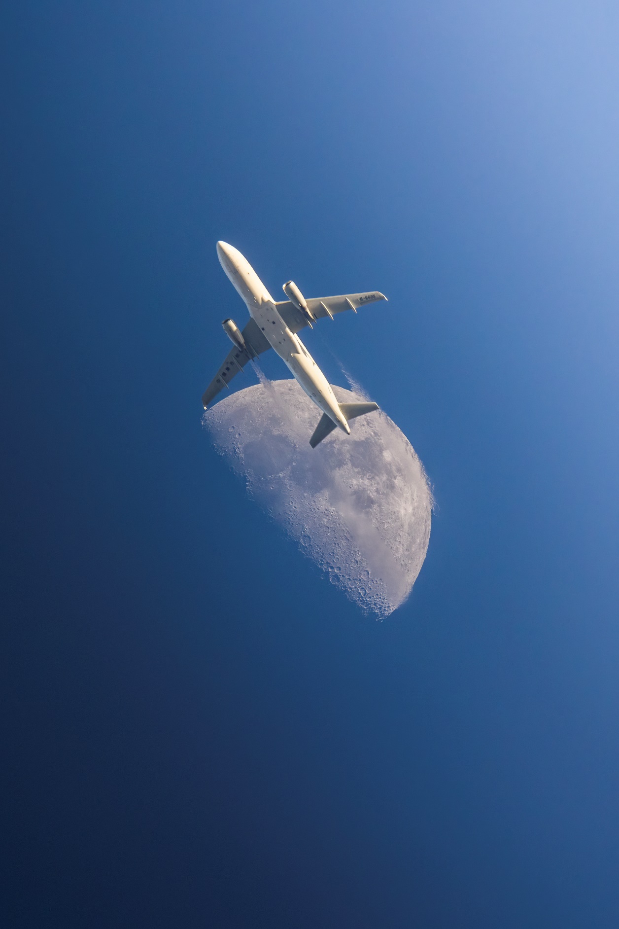 363D2D3977C1C176C71BB1A4A98_9B792D56_59978