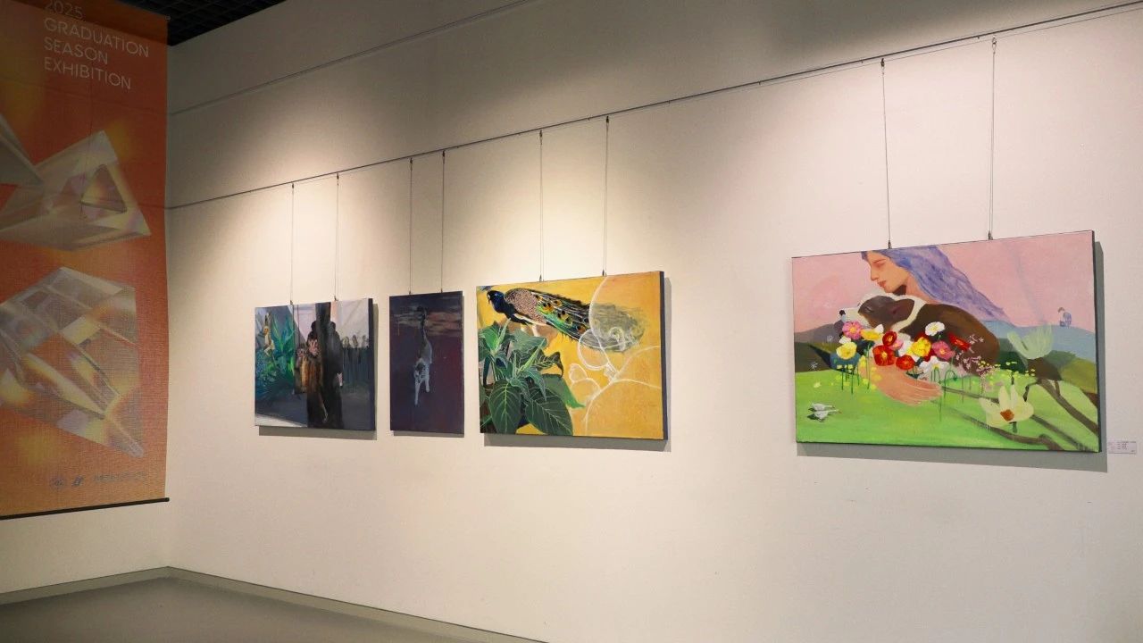 7A5C0FE9A8F555F04C5C3CF3FE9_CA200957_14BBD