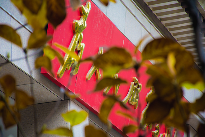 F013AF45FE1D492195BD3FF7B62_3FC56FCF_47CE8