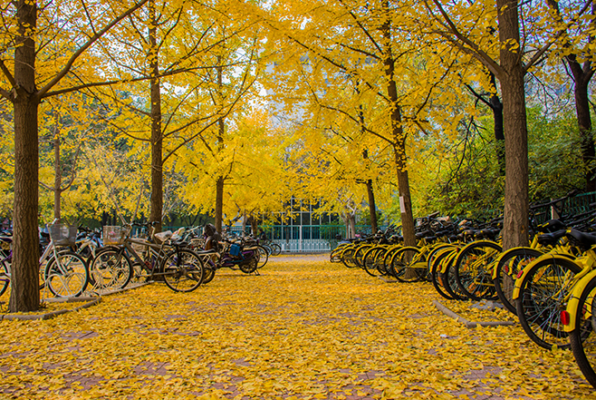 F6FEA58EC8C4F5E1077F8387F05_7190F141_9C53B