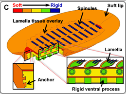 524FD682E9ADFBC6CD81FECD6B7_F3024330_10339