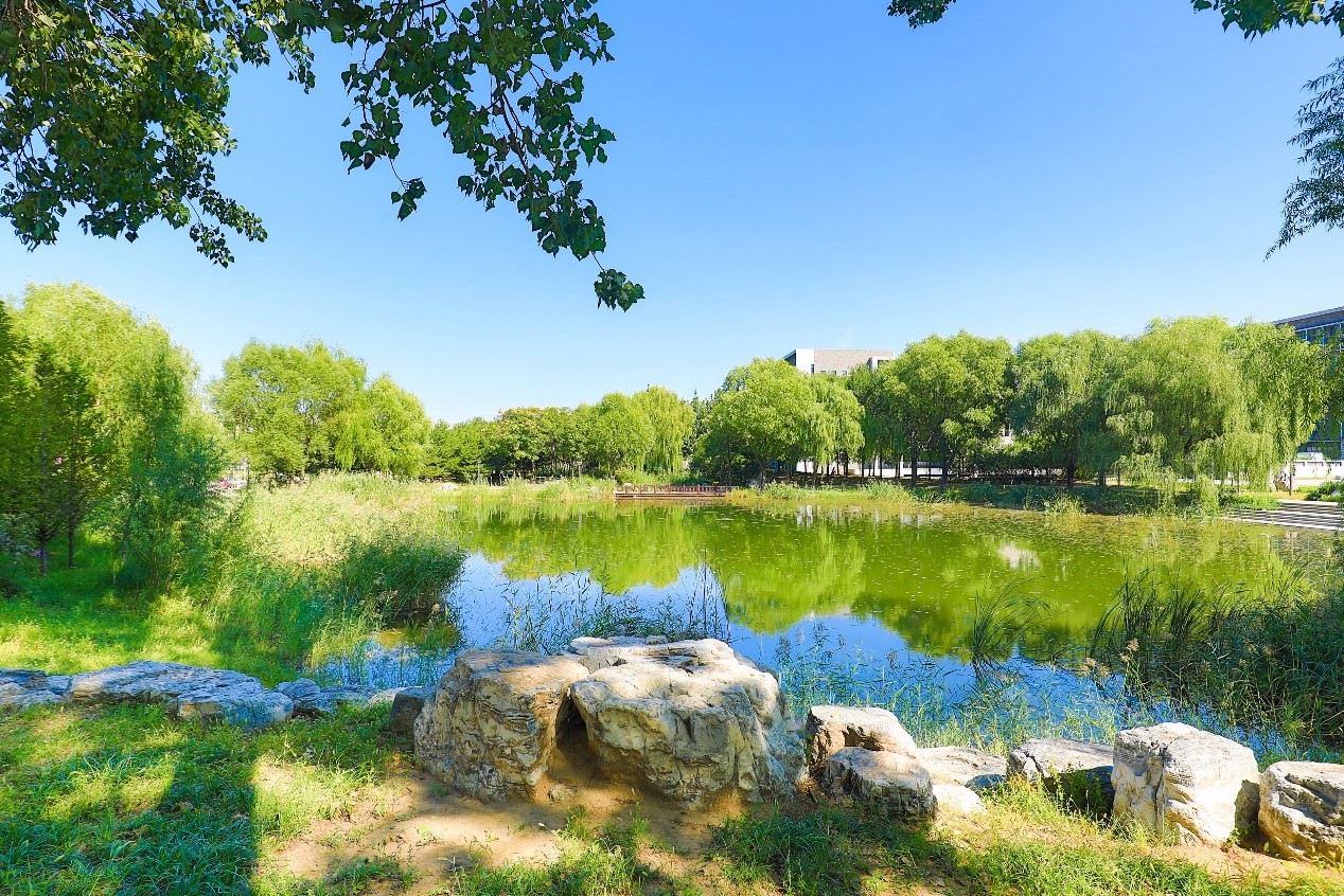 09D79F95C7FFA03AB2CB8B0650D_471CD544_78876